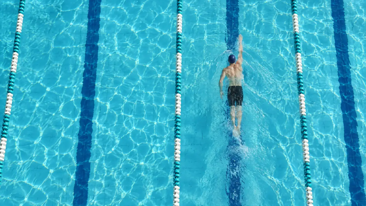 Nadador adulto en estilo libre en un carril de la piscina, visto desde arriba